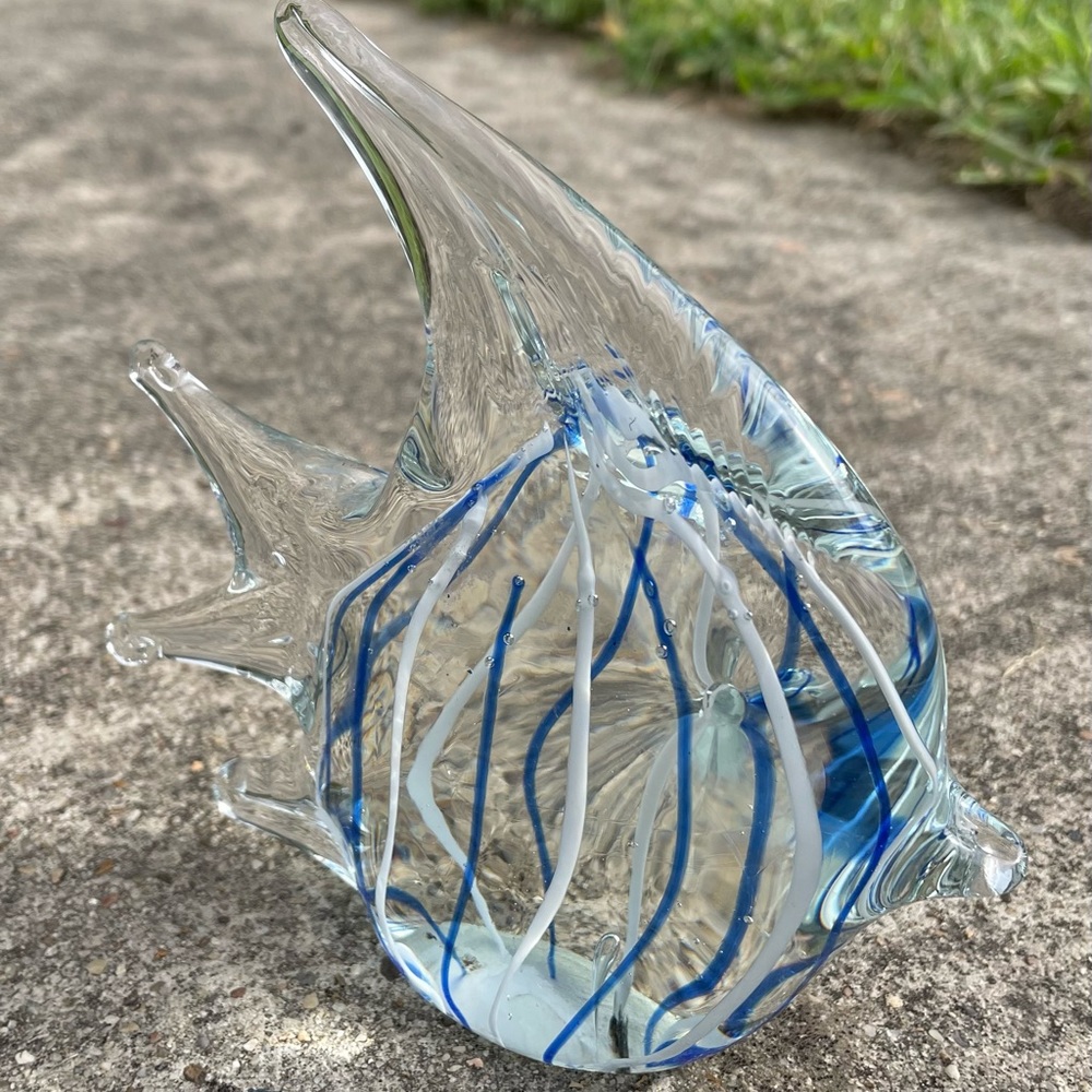 Glass Fish - Picture 2 of 11